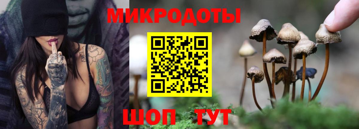Псилоцибиновые грибы GOLDEN TEACHER Учалы